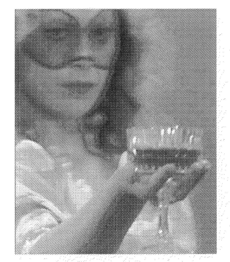 Method and device for coding video levels in a plasma display panel