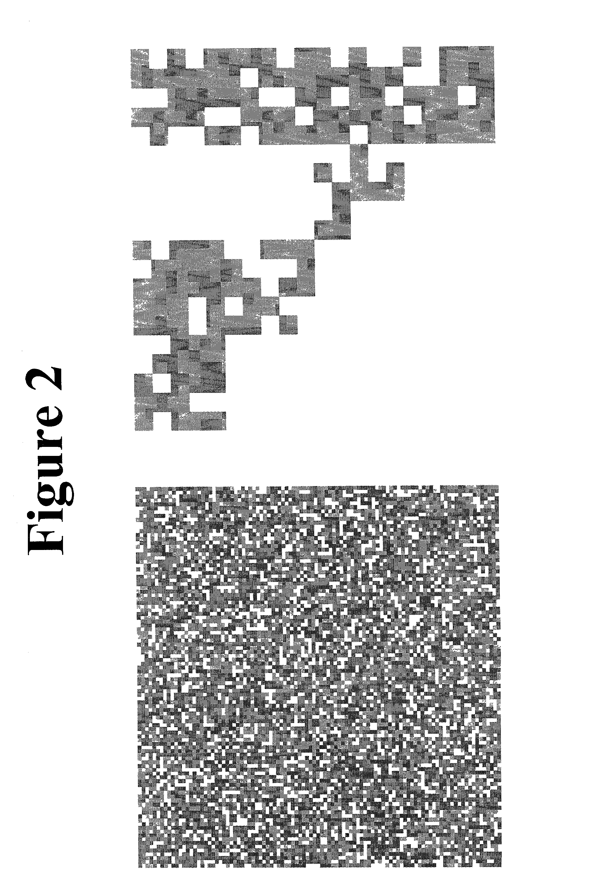 Method and apparatus for fractal computation