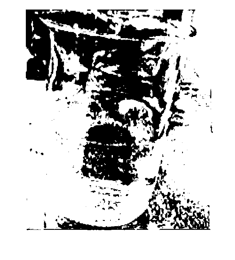 Method for recycling and utilizing CdS waste liquor produced in production process of copper indium gallium selenide (CIGS) film solar cell