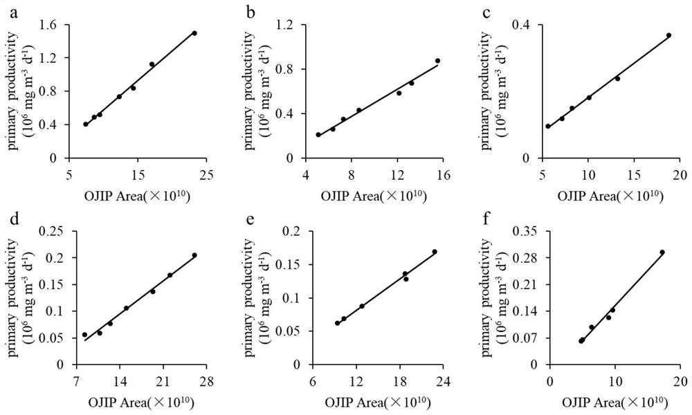 A method for measuring primary productivity of water body based on pea fluorescence curve