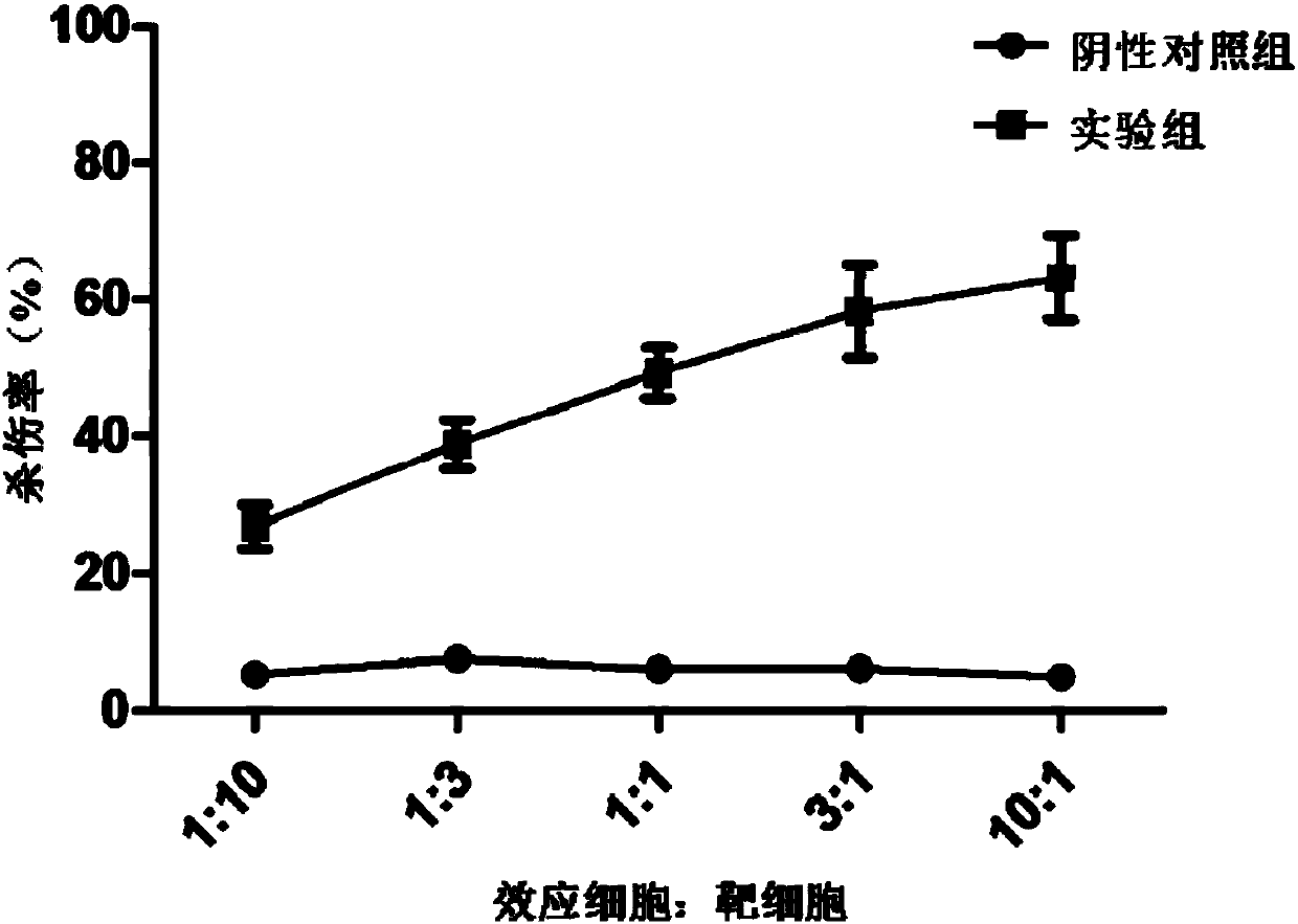 T cell receptor targeting TIPE3, T cell receptor gene-modified T cell, preparation method and application thereof