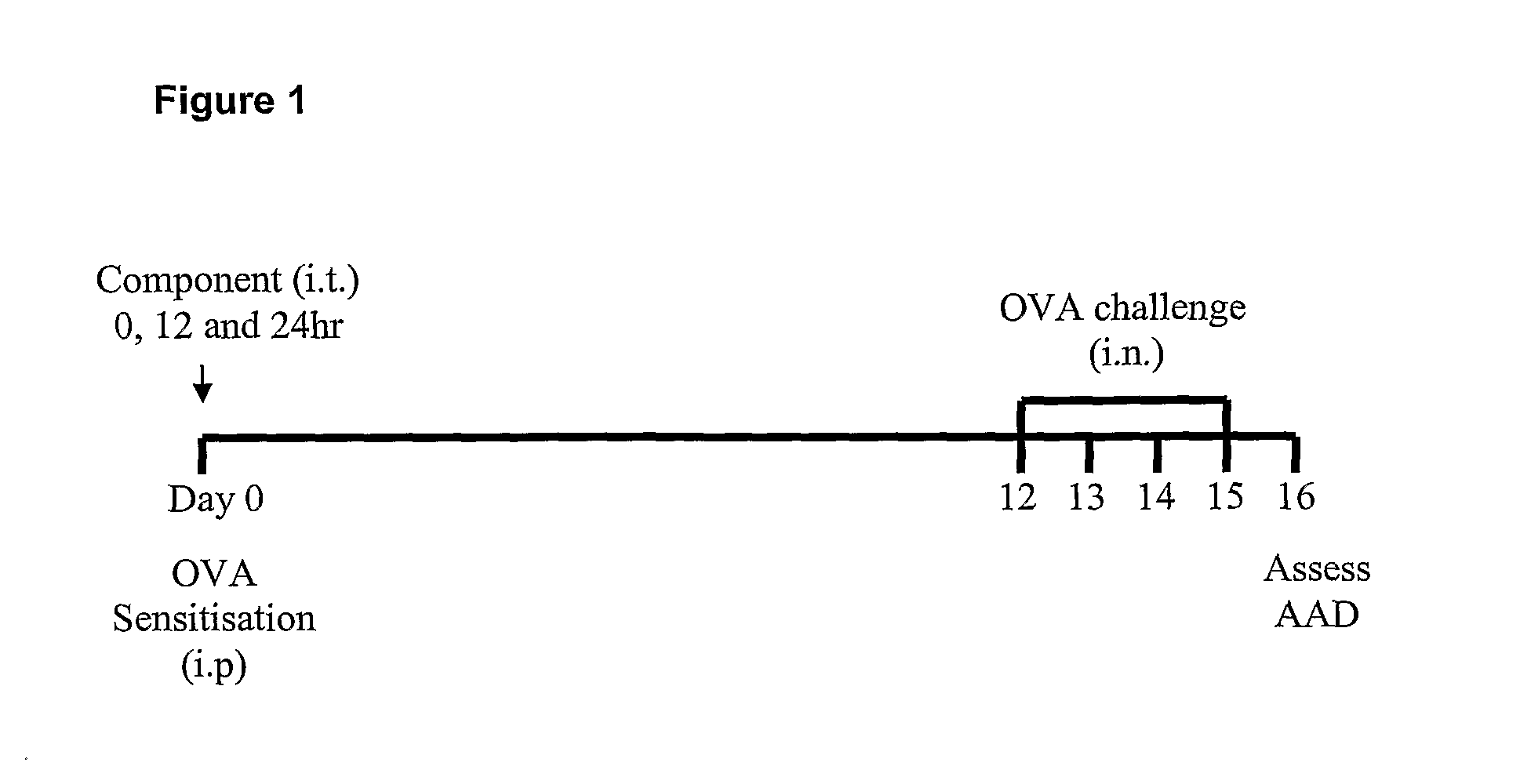 Vaccine compositions