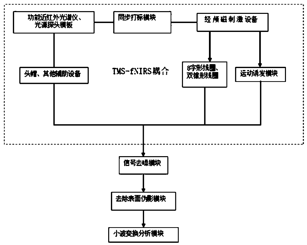 Dynamic brain function detection method and system synchronous with transcranial magnetic stimulation