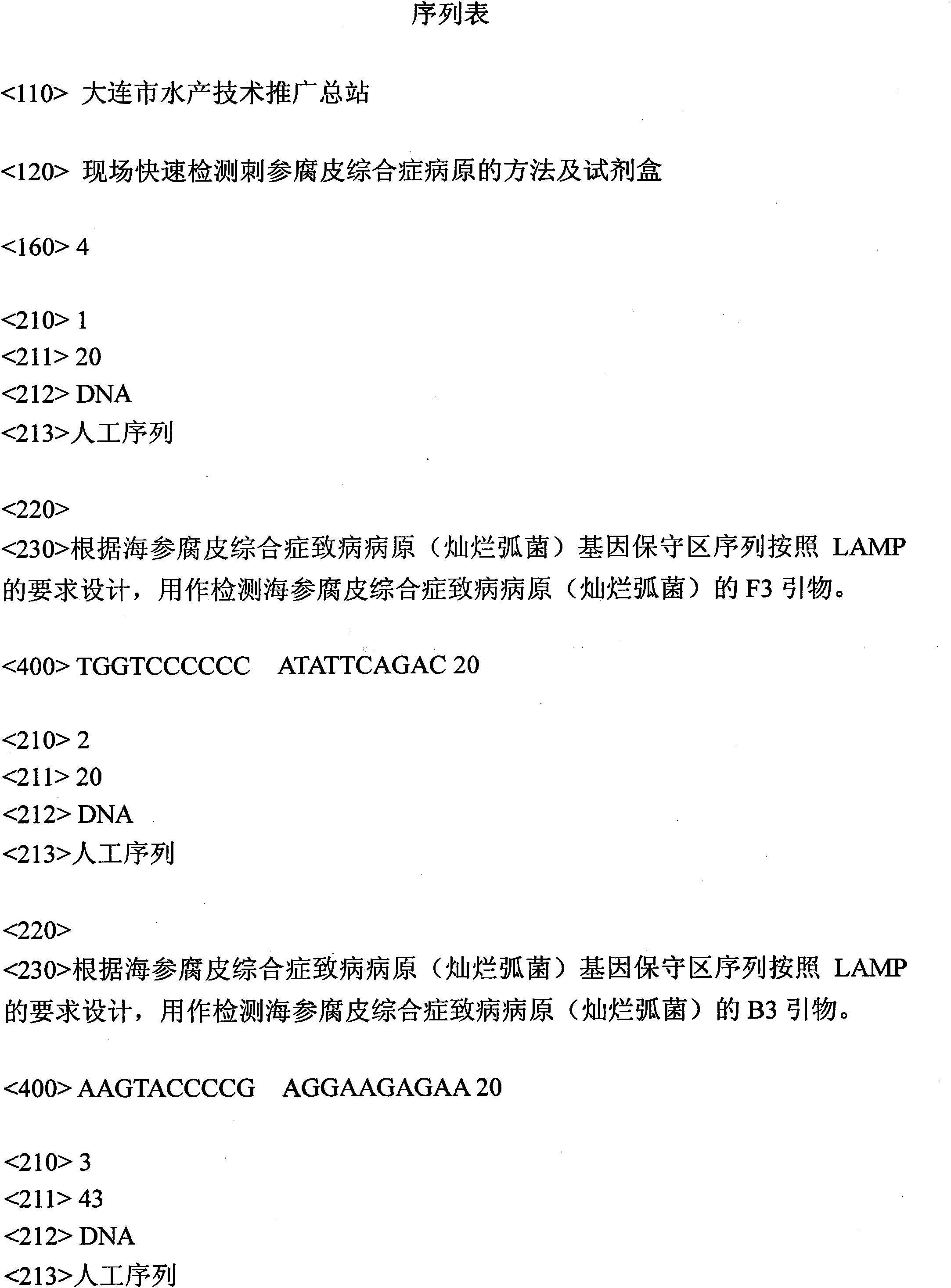 Method for quickly detecting pathogen of skin ulcerative syndrome in Apostichopus japonicus on site and kit thereof