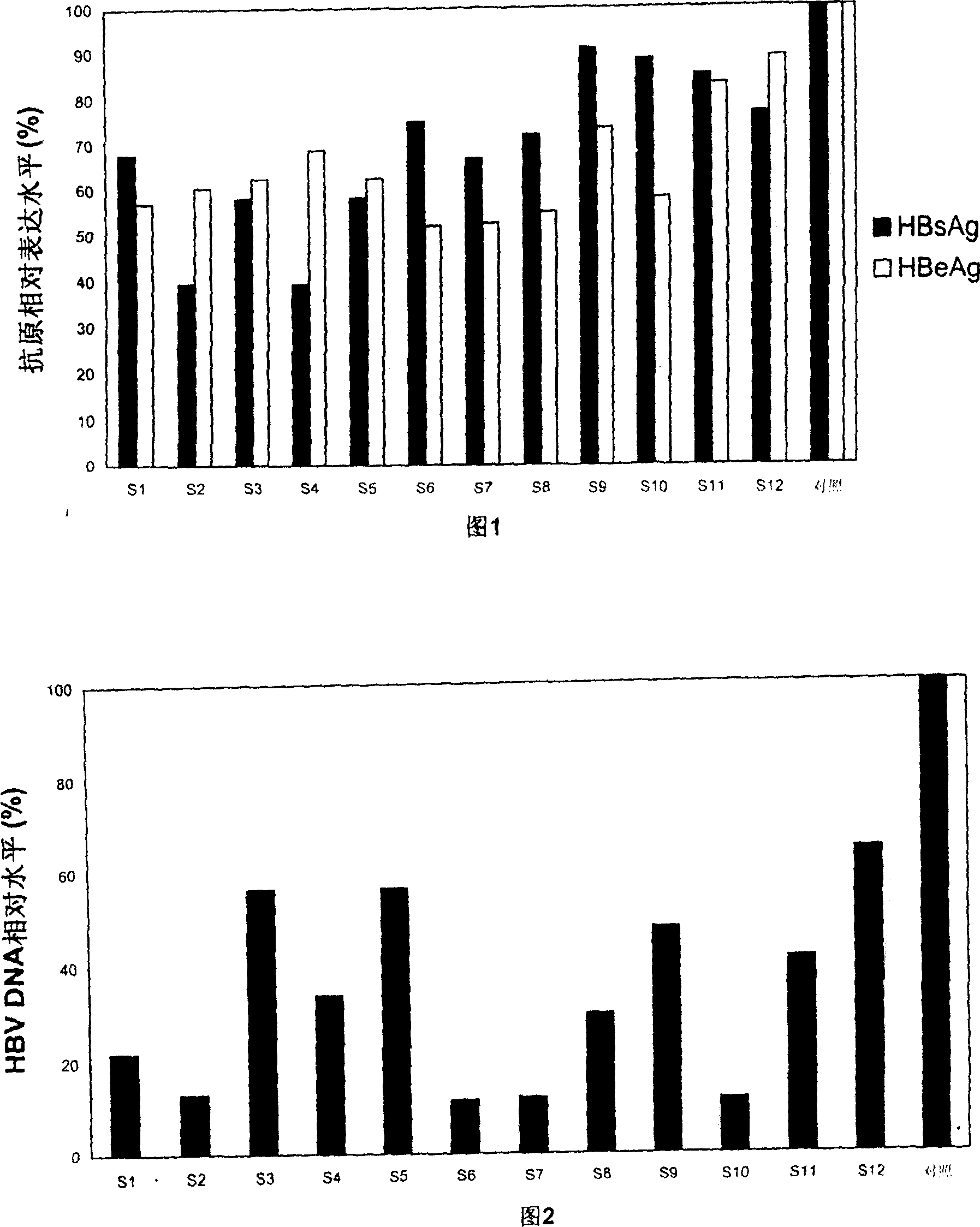 Small interference RNA molecule SiRNA capable of attacking human hepatitis B virus and application thereof