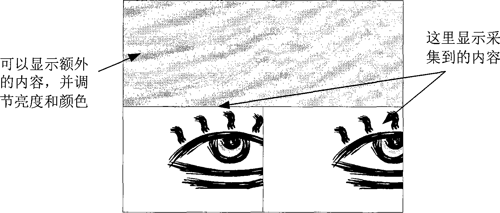 Multiple iris collecting device using active vision feedback