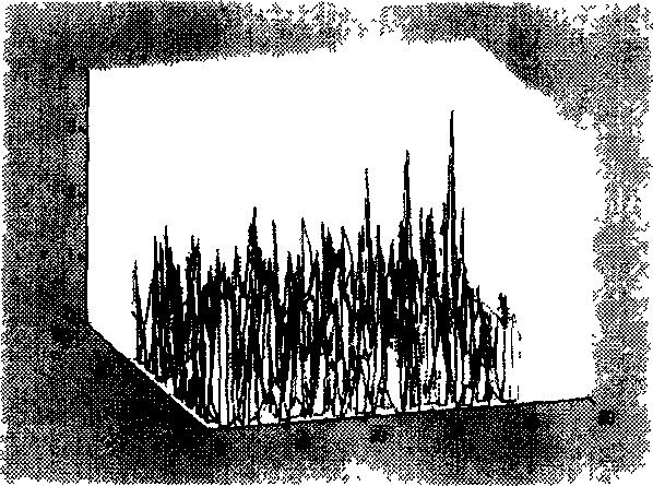 Infra red detecting and tracing method for weak target under complex background condition