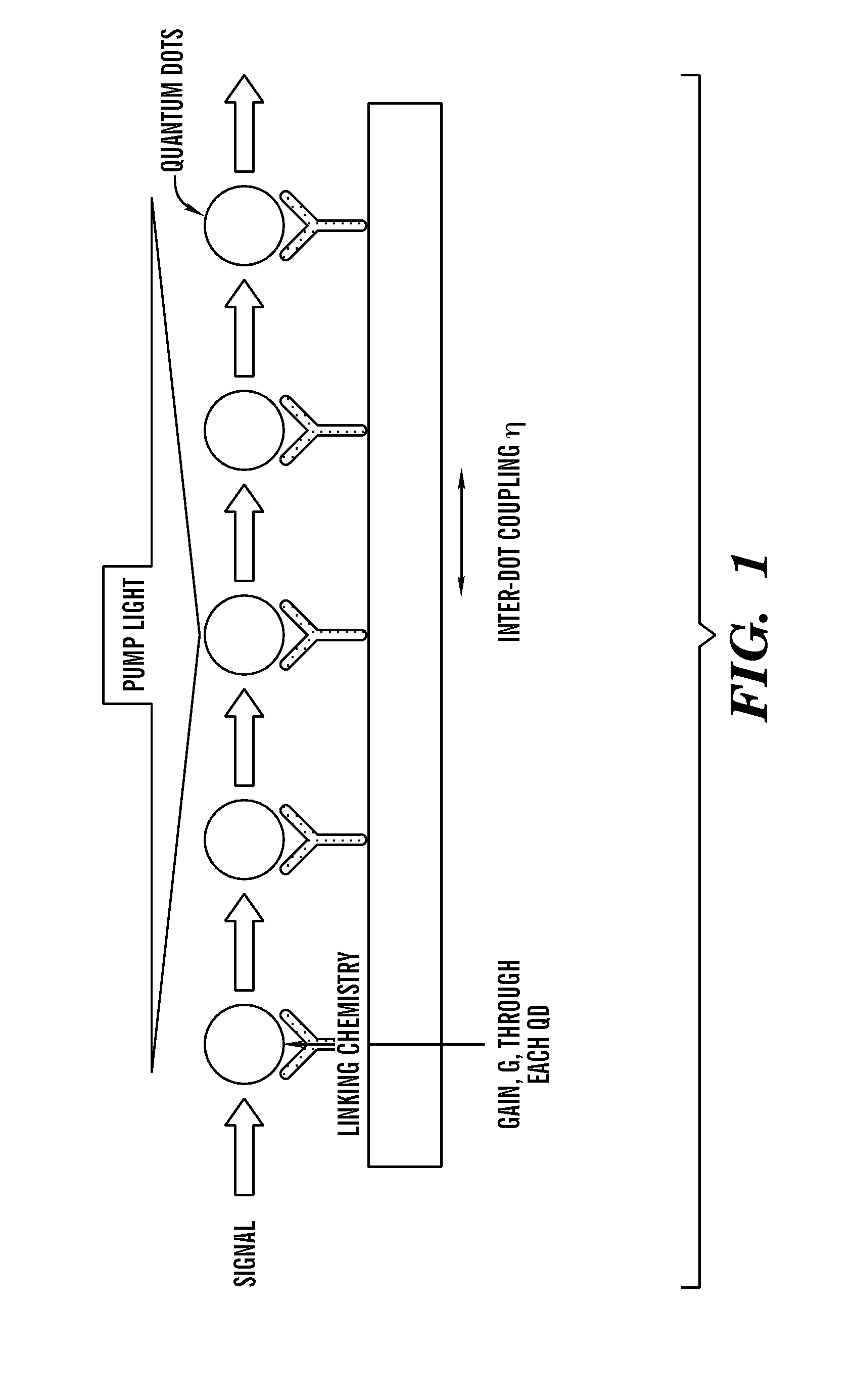 Multiple quantum dot waveguides