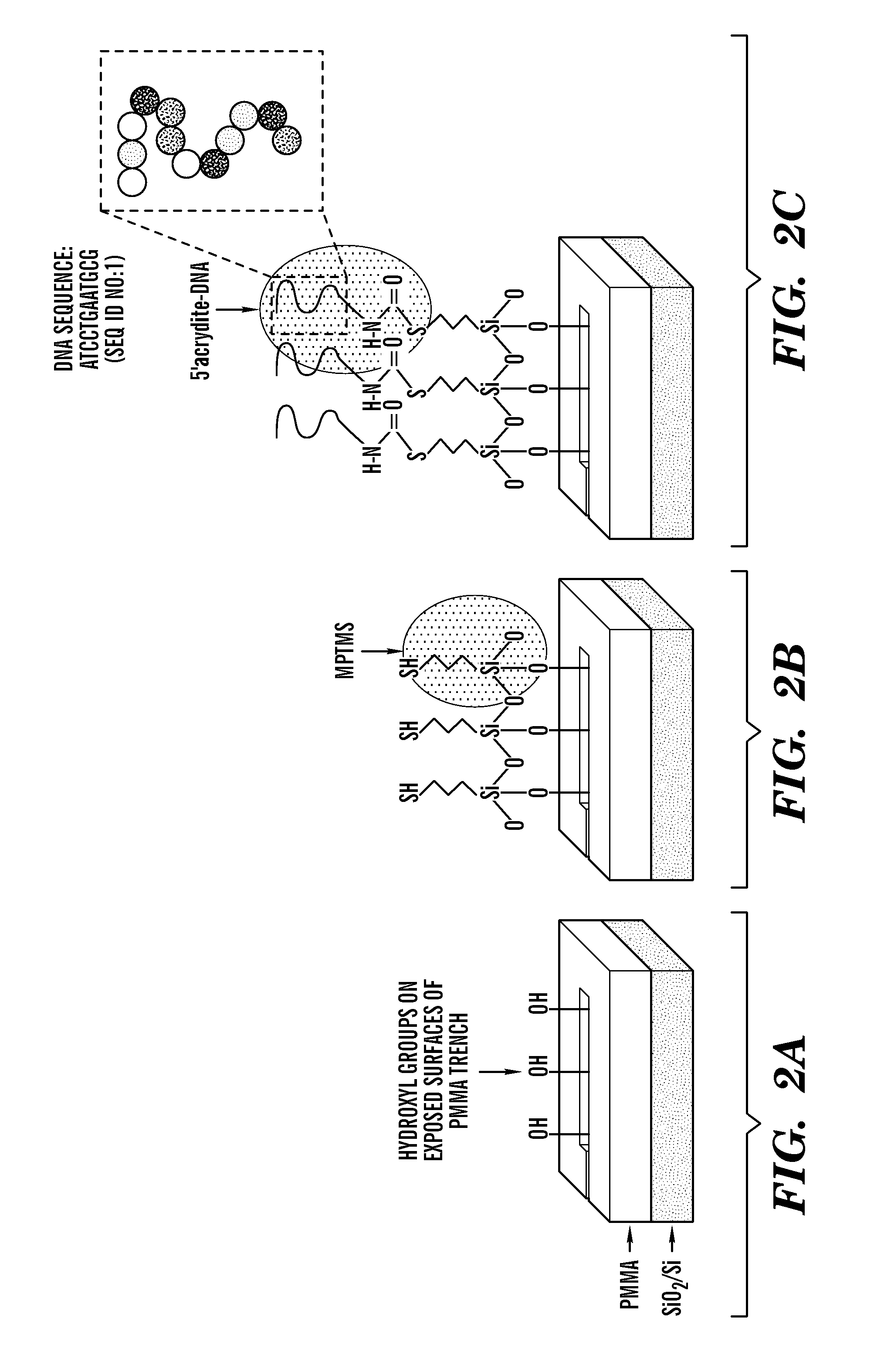 Multiple quantum dot waveguides