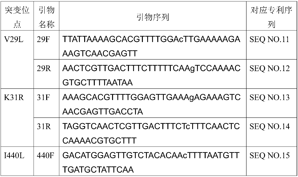 Mutants of bifunctional glutathione synthetase and application of mutants in glutathione synthesis