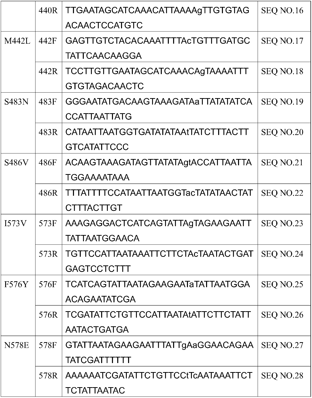 Mutants of bifunctional glutathione synthetase and application of mutants in glutathione synthesis