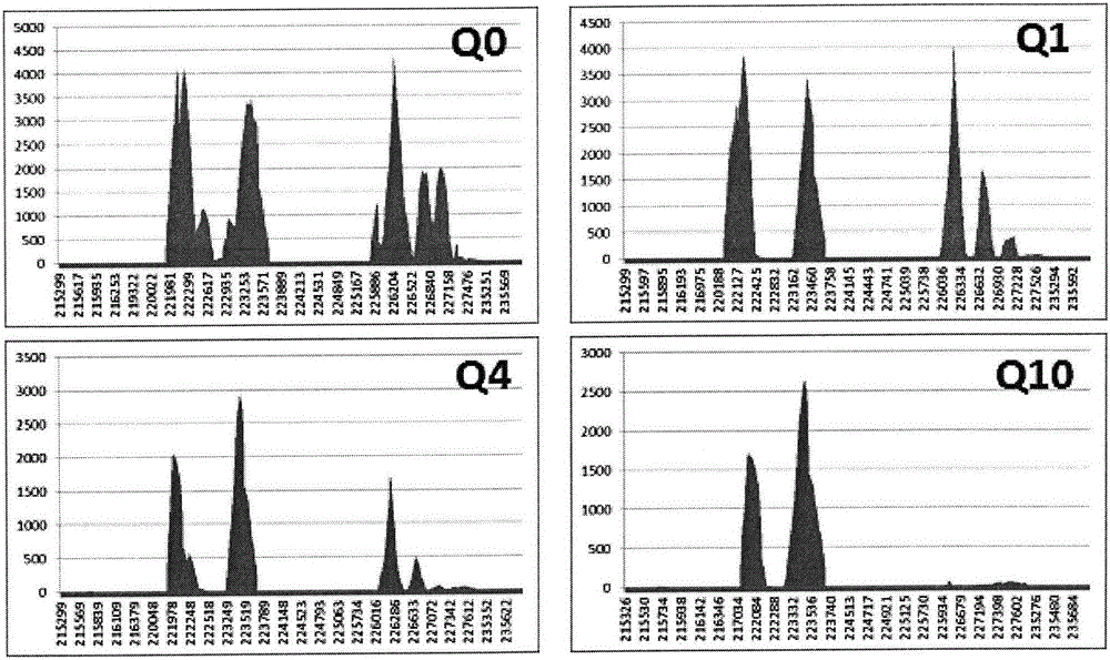 Thalassemia gene detection method based on high-throughput sequencing technology