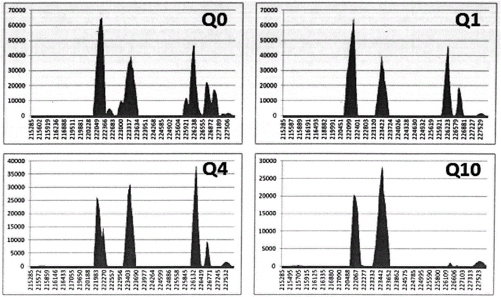 Thalassemia gene detection method based on high-throughput sequencing technology