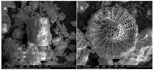 A kind of sewage purification agent with photocatalytic and coagulation composite performance and its application