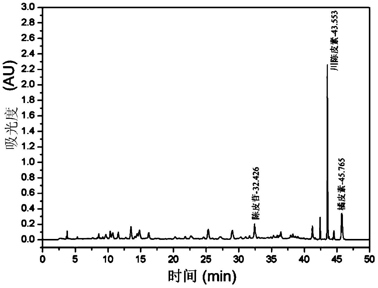 Mouthwash containing enzyme and pericarpium citri reticulatae extract and preparation method thereof