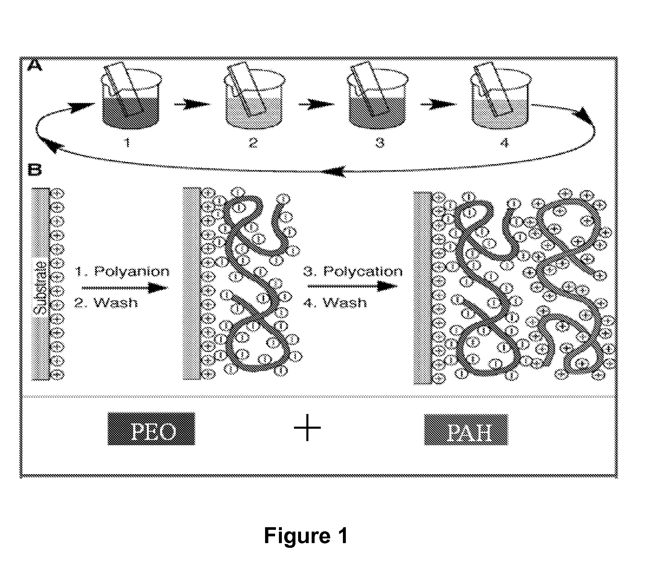 Electrochemical Device Electrode Including Cobalt Oxyhydroxide