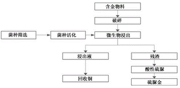 A two-step method for the recovery of copper and gold from waste electronic materials