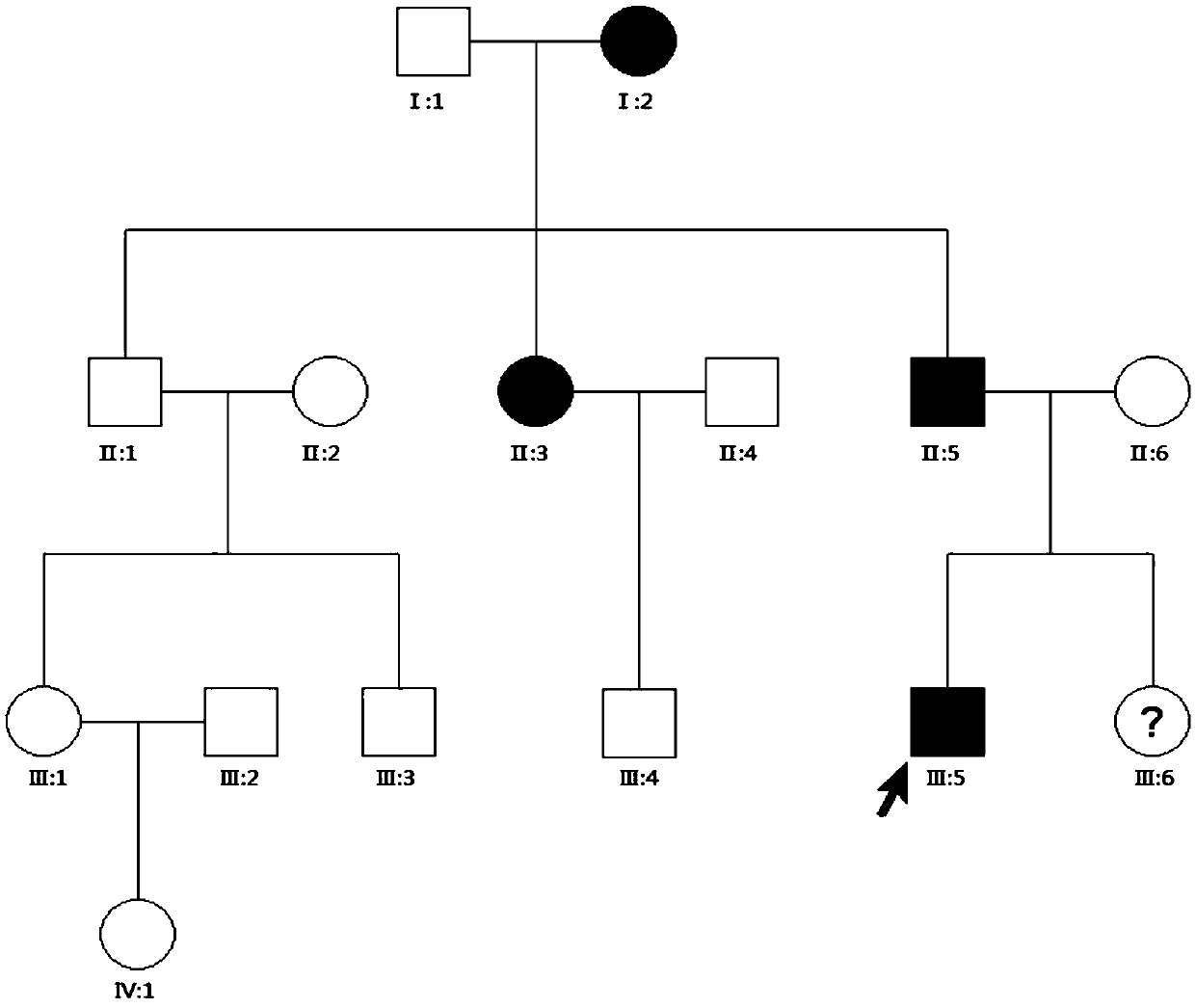 Child glaucoma related gene chip, preparation method and application thereof