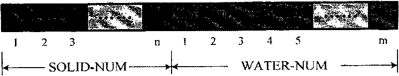 Emulation modelling method interacted with movable object and water based on SPH