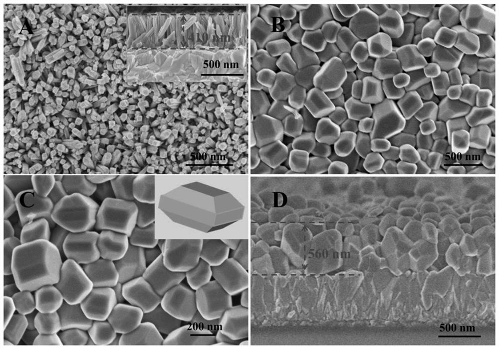 Nano polyhedral ferric vanadate film photoelectrode with visible light response and preparation method and application thereof