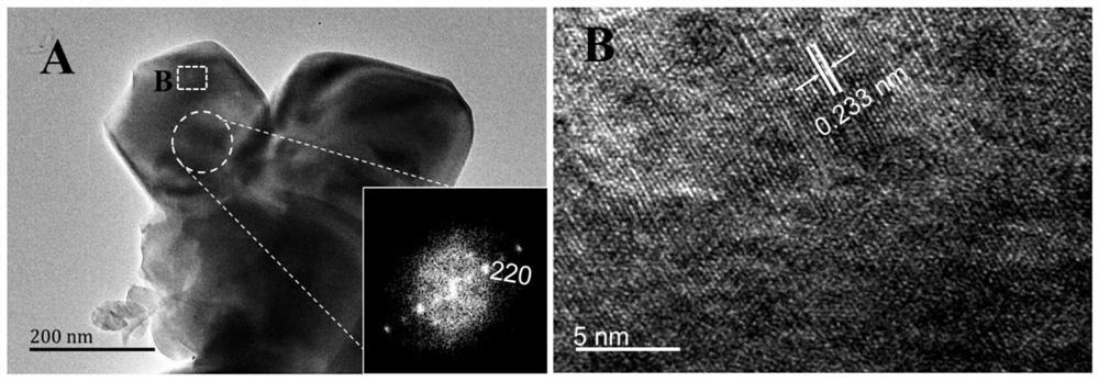 Nano polyhedral ferric vanadate film photoelectrode with visible light response and preparation method and application thereof