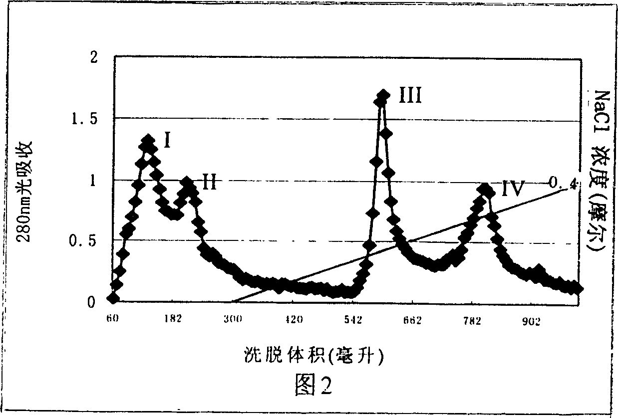 Giant web bombinator proteinase inhibitor and its prepn. and pharmaceutical application