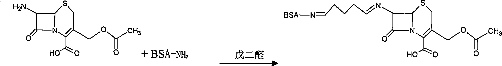 Synthesis method for generally used artificial antigen of Beta-lactam medicine