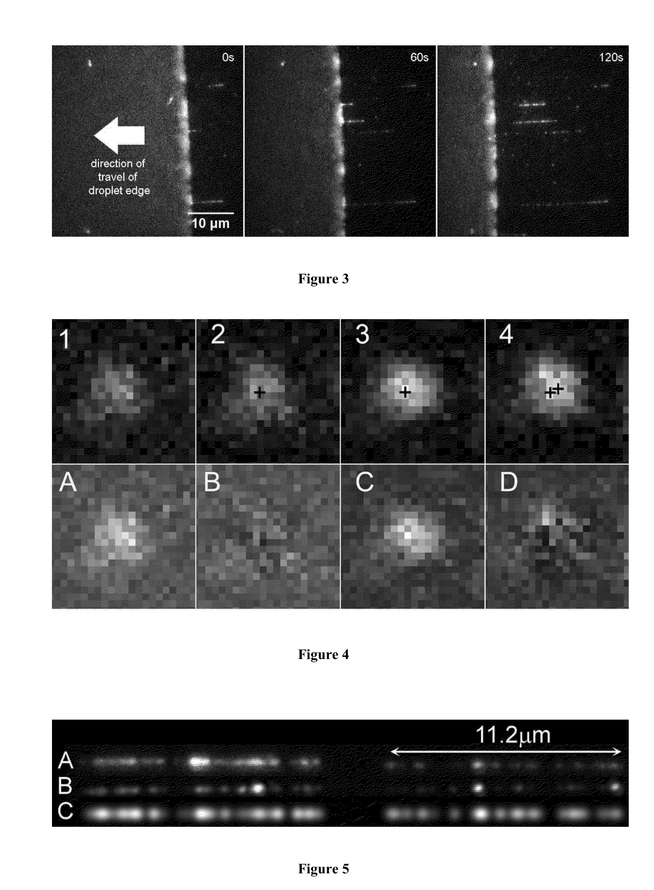 Optical mapping of genomic DNA