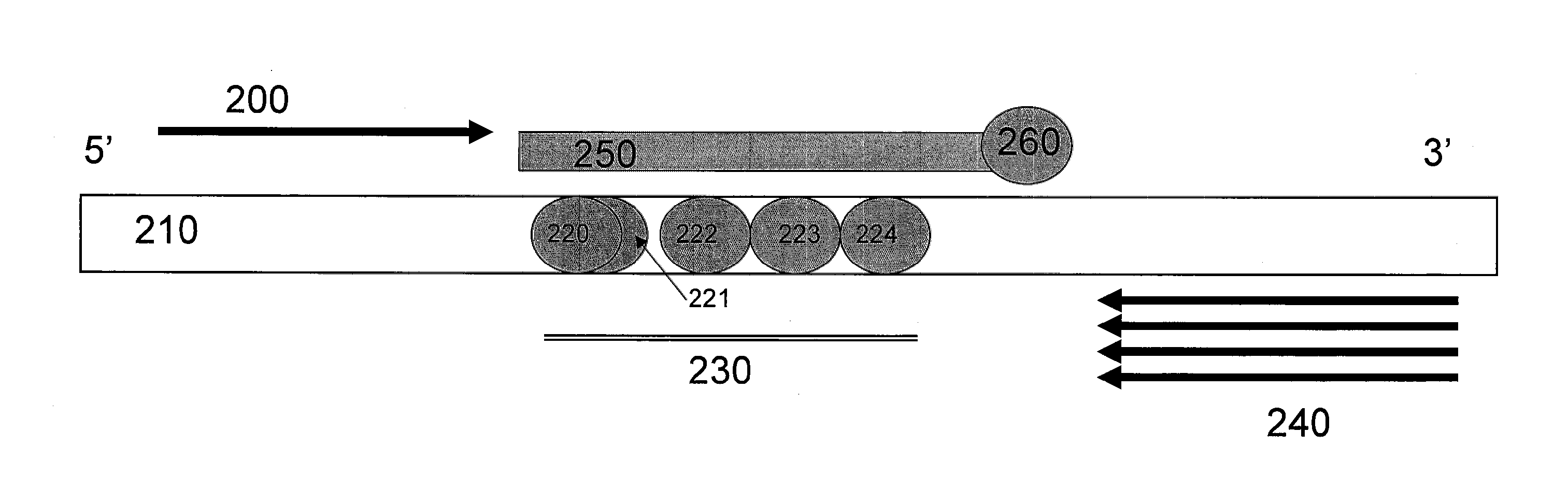 Detection of neighboring variants