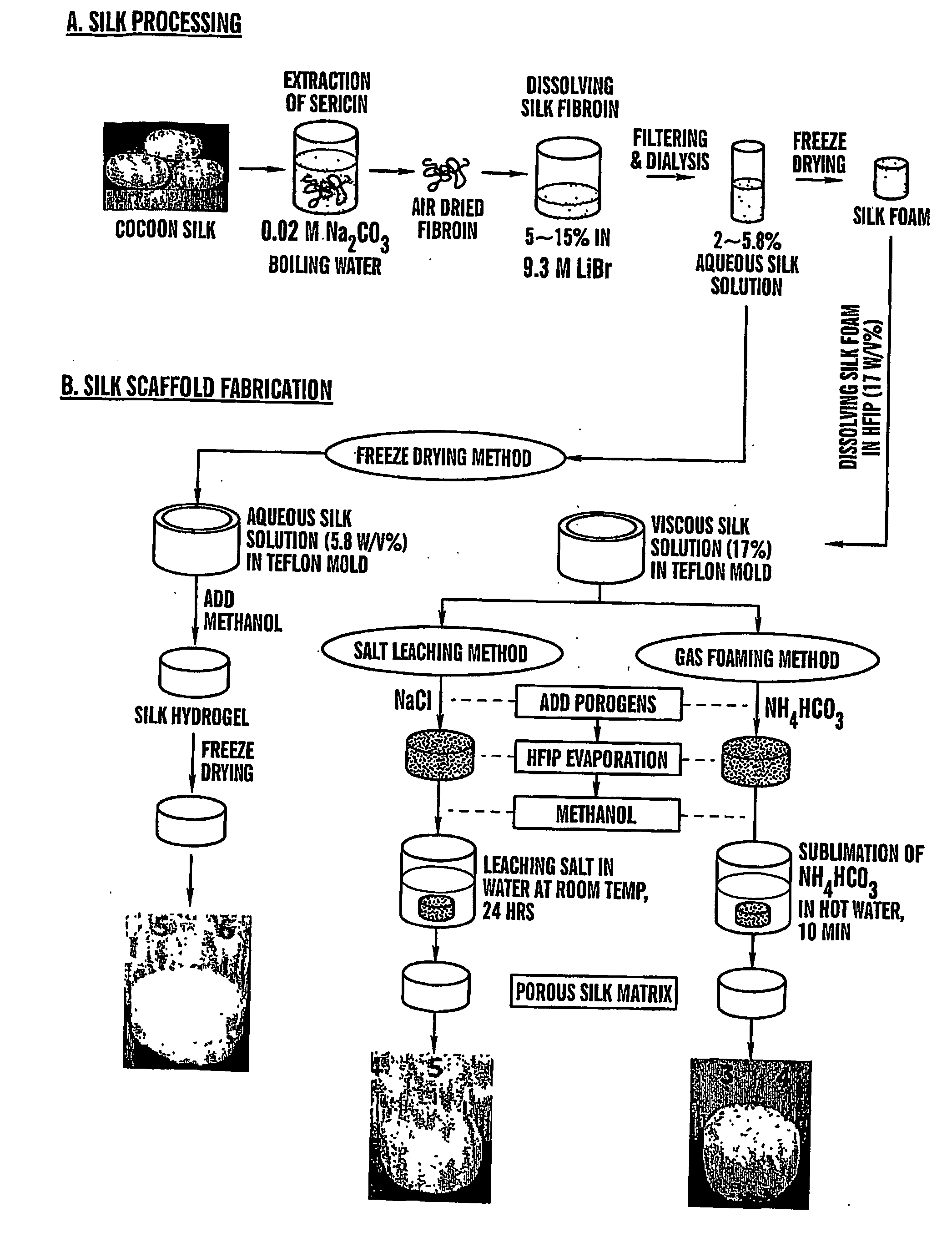 Electrospun pharmaceutical compositions