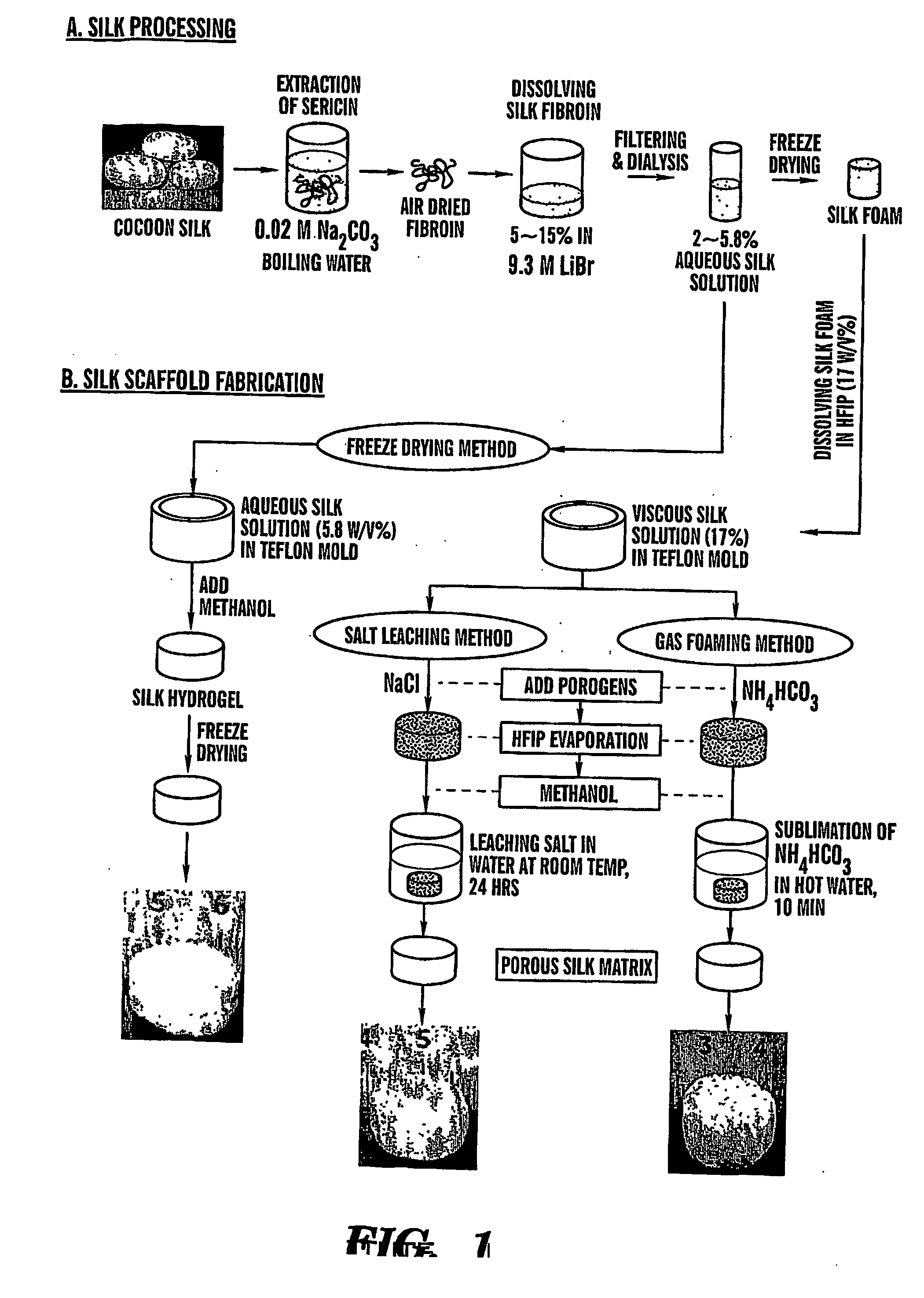 Electrospun pharmaceutical compositions