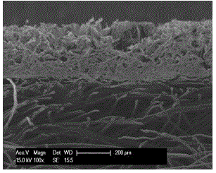 A double-layer composite biological dressing and its adhesive-free composite process