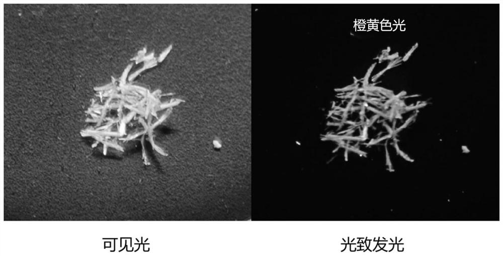 Luminescent copper-thiol polymer single crystal and preparation method thereof