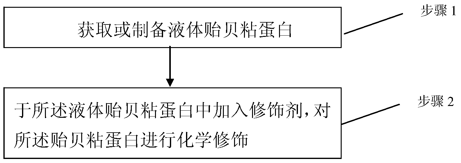 Mussel mucoprotein liquid product as well as preparation method and application thereof