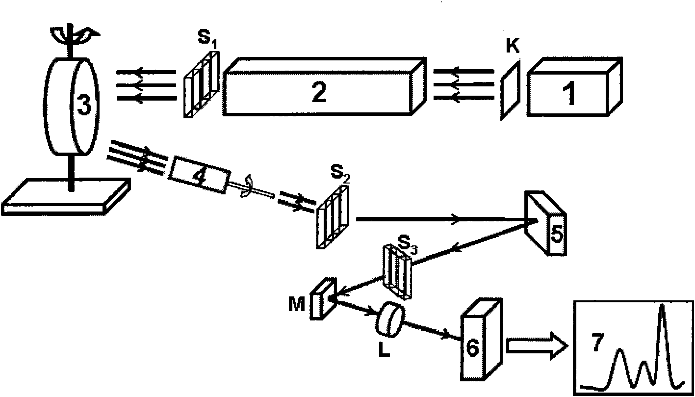 Spectrometer based on X ray inspired light source