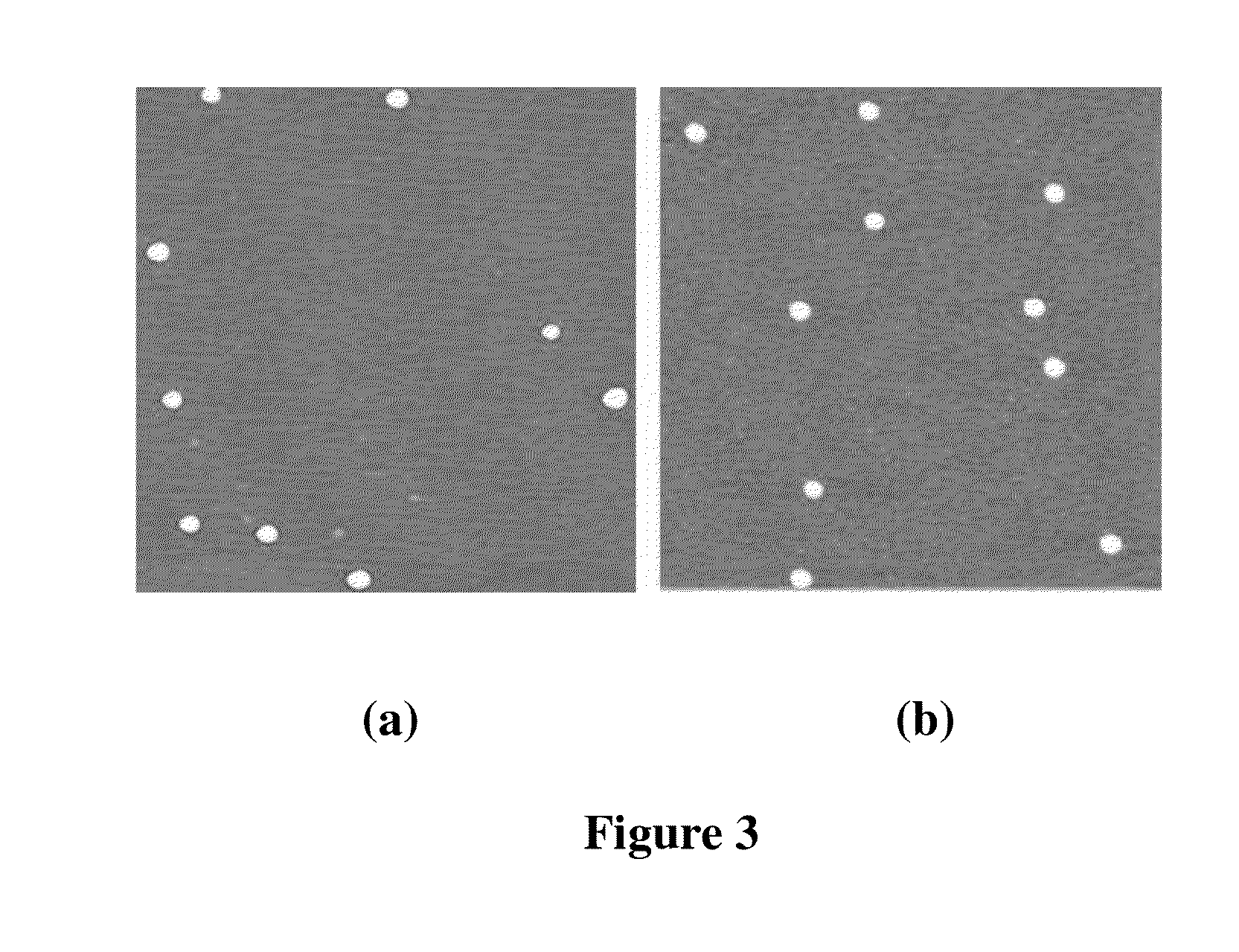 Peg-plga-pll polymer and method for preparing and using the same as the drug and gene carrier