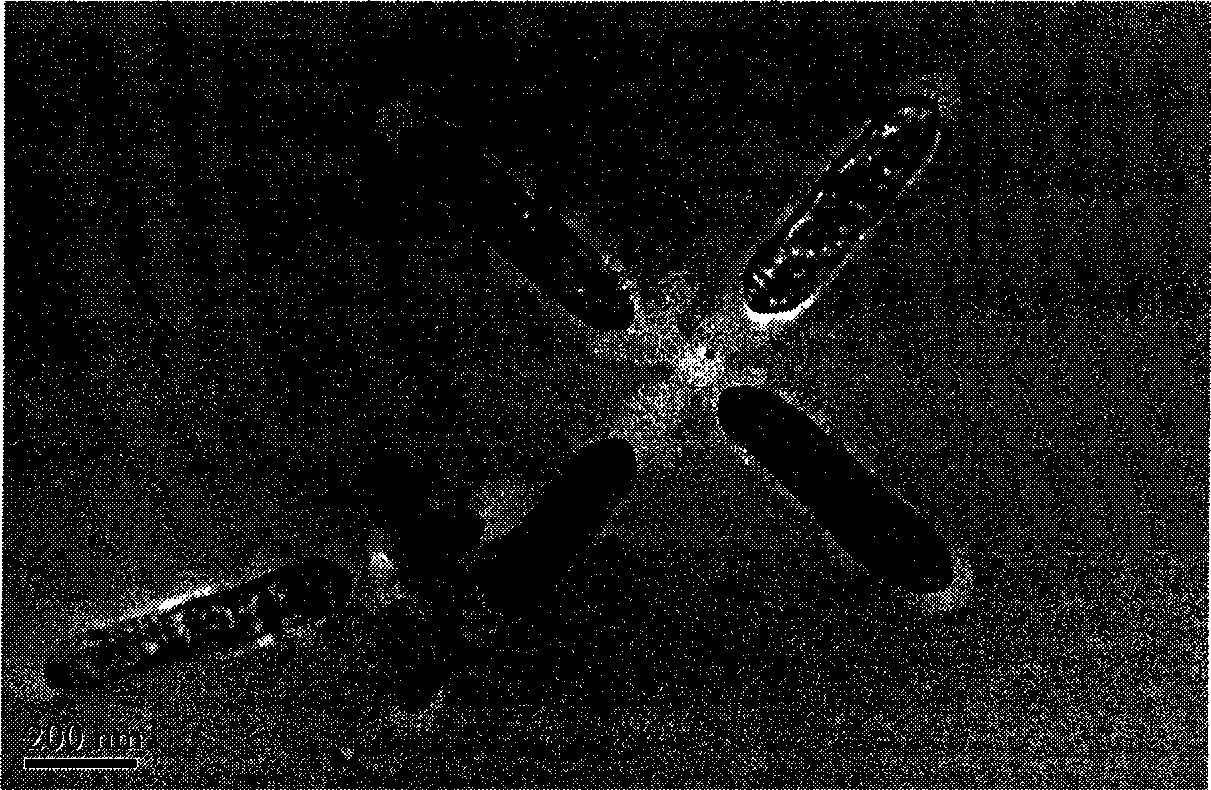 Rare earth ternary complexes, preparation and use thereof