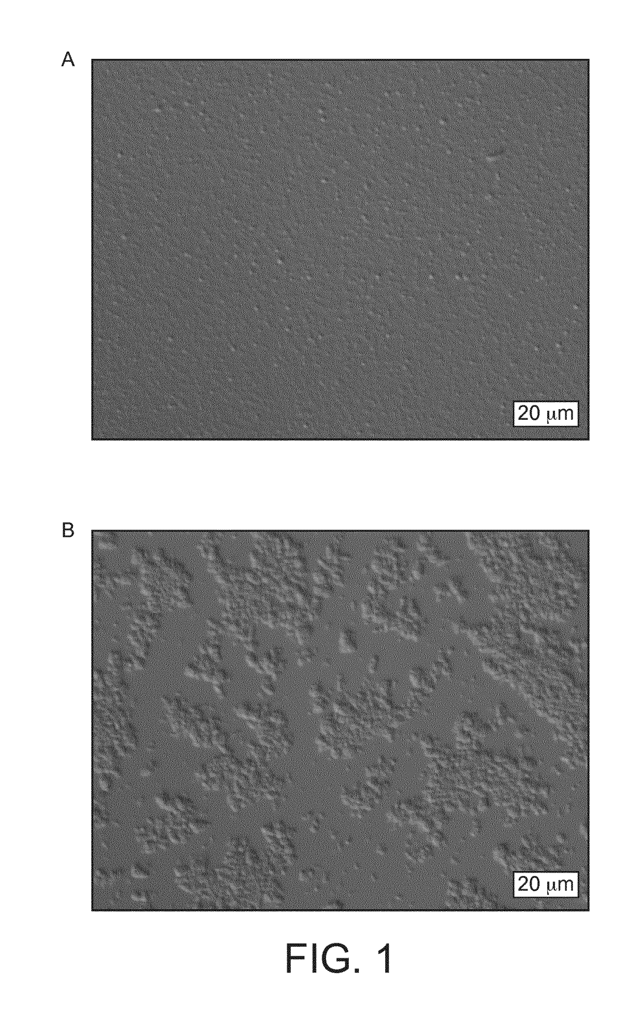 Milk concentrates with improved mouth feel