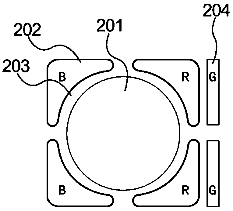 OLED display panel and display device