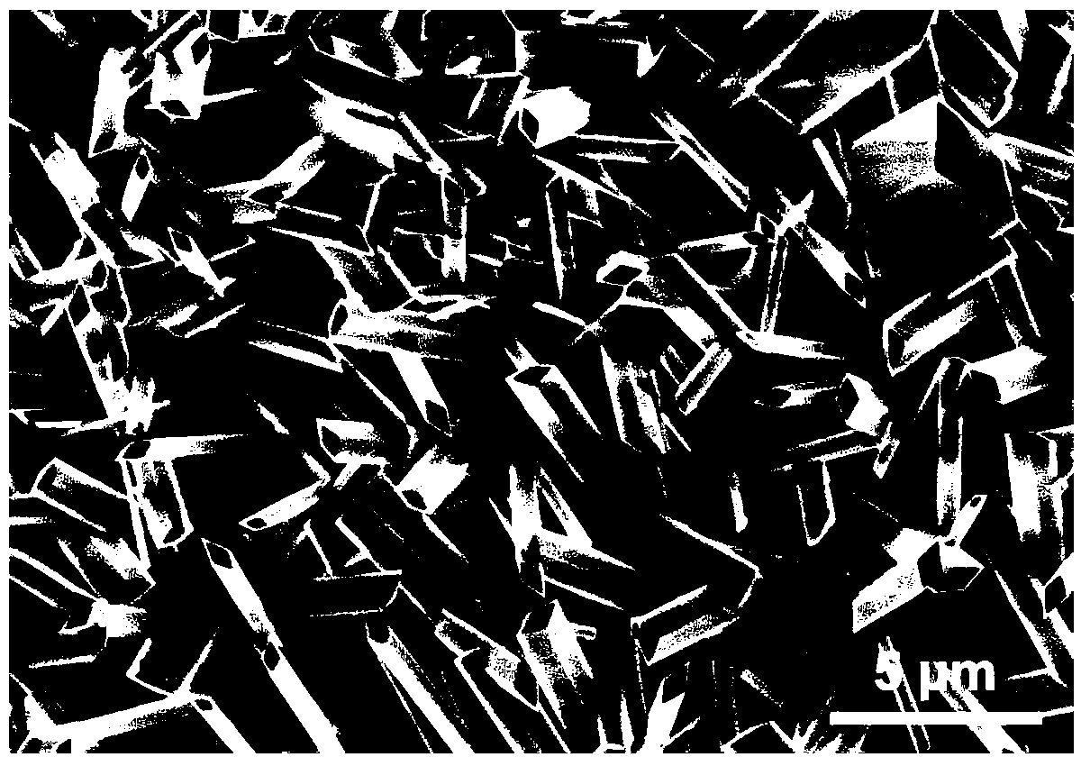 Rhombus zinc oxide nanorod array and preparation method thereof