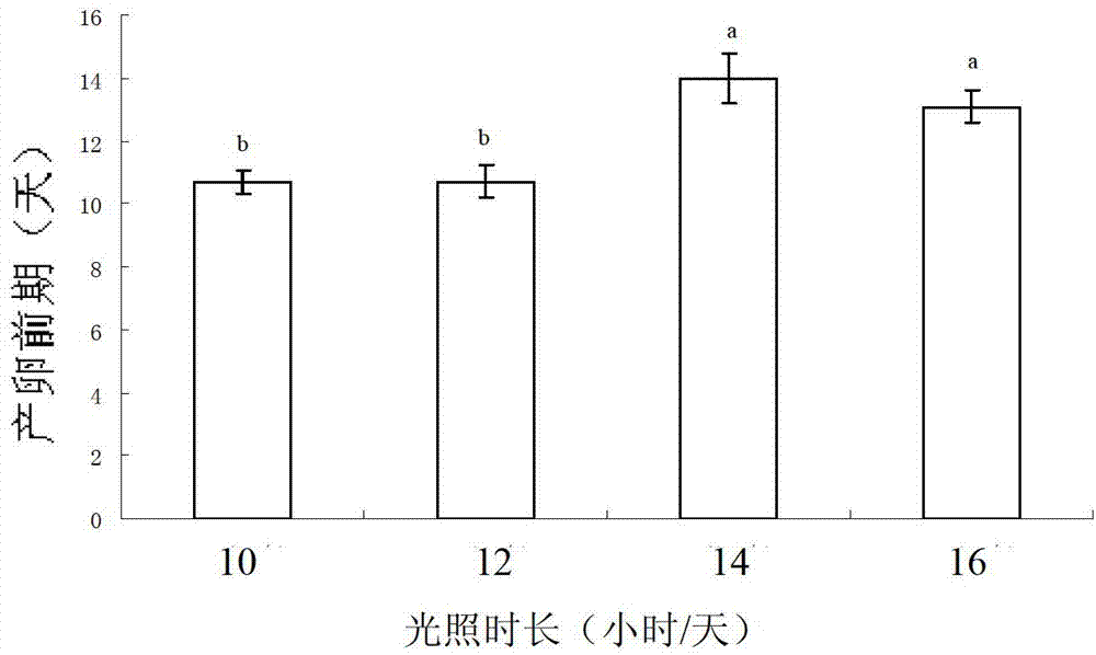 Natural enemy insect (coccinella septempunctata) diapause induction method