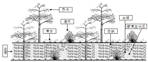 Method for controlling nitrogen and phosphorous non-point source pollution of cropland by using biological ridge