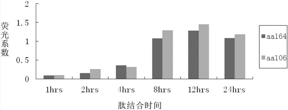 CDK5 antigen epitope peptide and application thereof