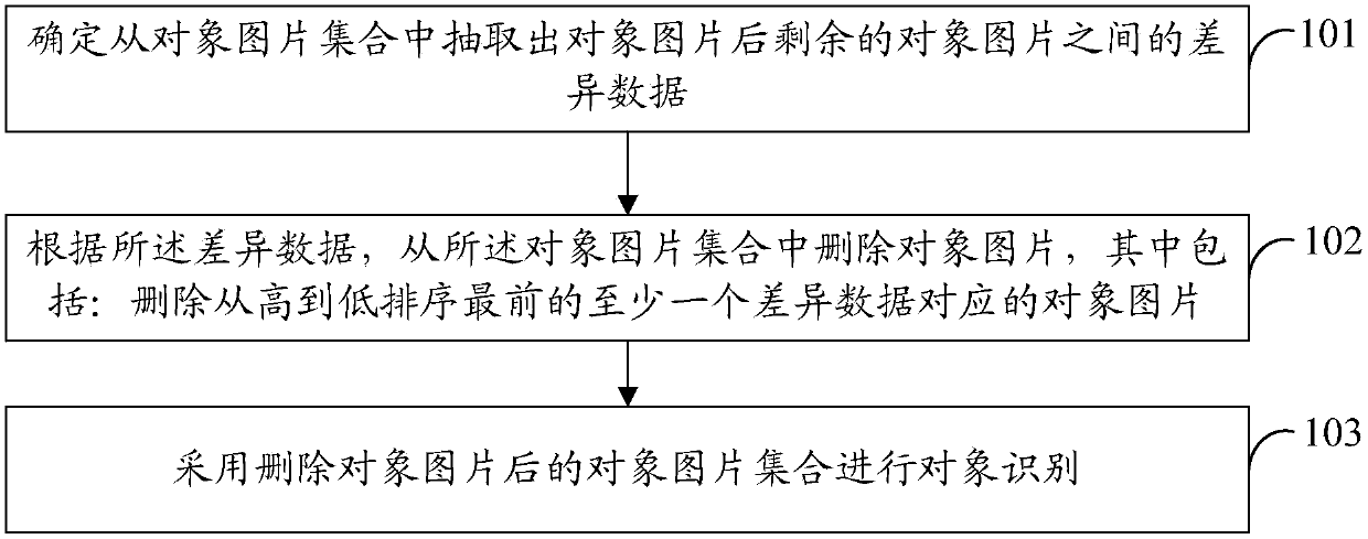 Object identification method and device, data set updating method and device and data processing method and device