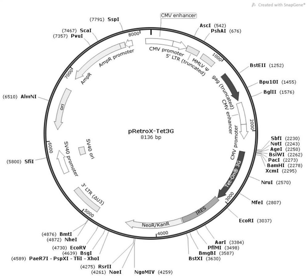 Canine distemper virus sensitive cell line slam-mdck and its construction method and application