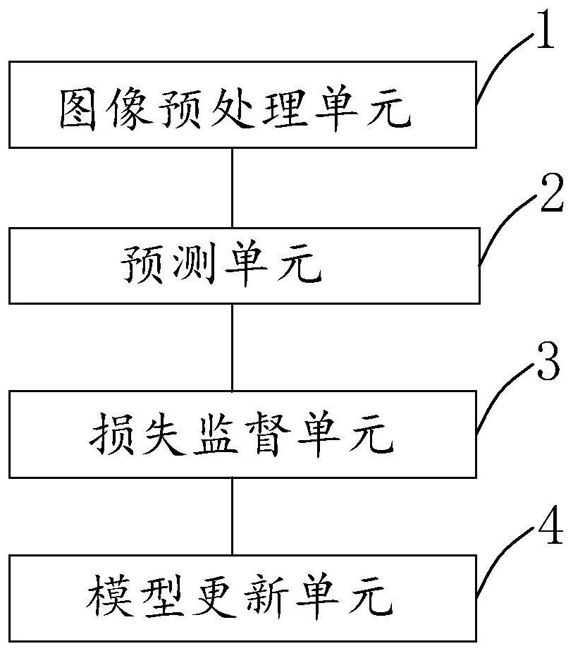 Face living body recognition network training method and system and electronic equipment