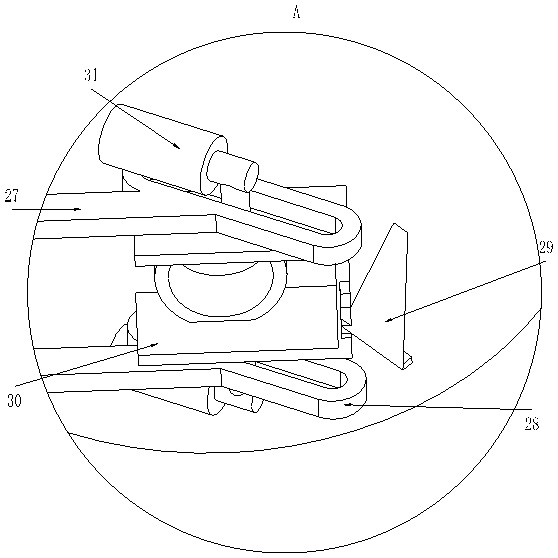 Semen cassiae planting equipment and planting method