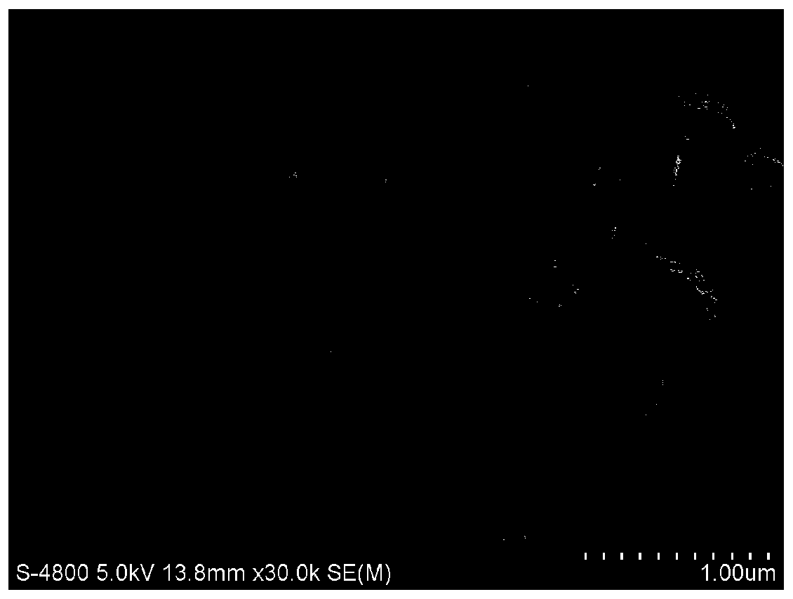 a kind of agins  <sub>2</sub> /bi  <sub>2</sub> the w  <sub>6</sub> Preparation method and application of heterojunction nanosheets