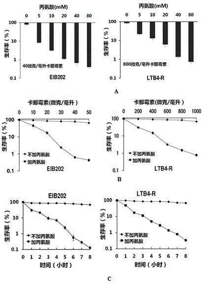 Small molecule metabolite for improving effect of antibiotic to eliminate pathogenic bacteria