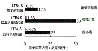 Small molecule metabolite for improving effect of antibiotic to eliminate pathogenic bacteria